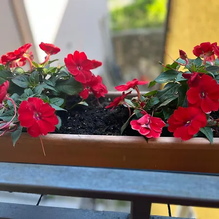 Casa Paola Tatil Evi