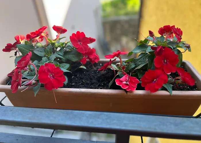 Casa Paola Дом отдыха